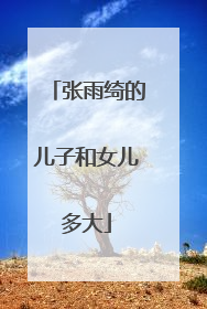 张雨绮的儿子和女儿多大