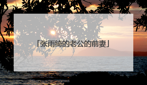 张雨绮的老公的前妻