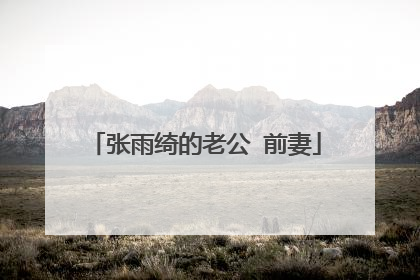 张雨绮的老公 前妻