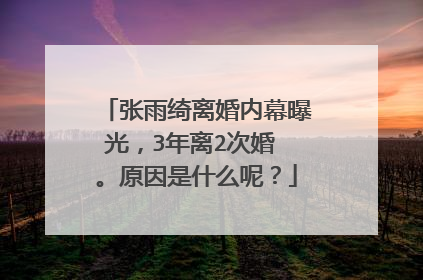 张雨绮离婚内幕曝光,3年离2次婚 。原因是什么呢?