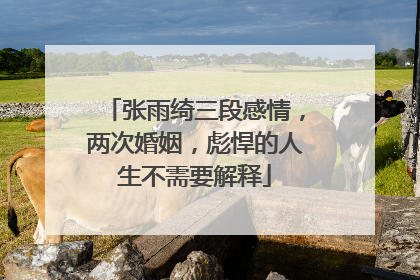 张雨绮三段感情,两次婚姻,彪悍的人生不需要解释