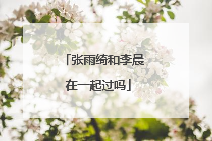 张雨绮和李晨在一起过吗