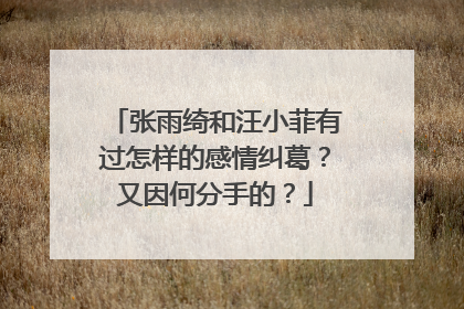 张雨绮和汪小菲有过怎样的感情纠葛?又因何分手的?
