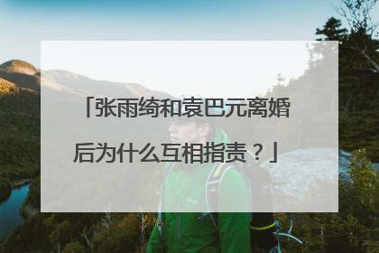 张雨绮和袁巴元离婚后为什么互相指责？