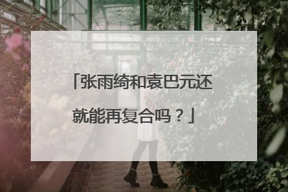 张雨绮和袁巴元还就能再复合吗？