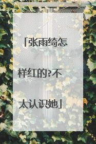 张雨绮怎样红的?不太认识她