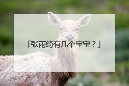 张雨绮有几个宝宝？