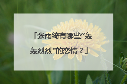 张雨绮有哪些“轰轰烈烈”的恋情？