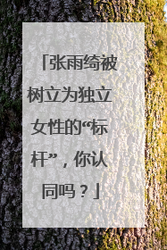 张雨绮被树立为独立女性的“标杆”,你认同吗?
