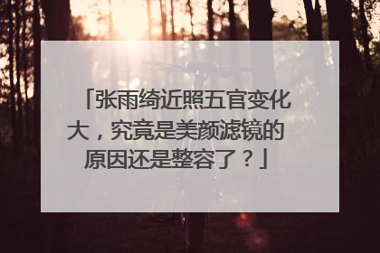 张雨绮近照五官变化大，究竟是美颜滤镜的原因还是整容了？