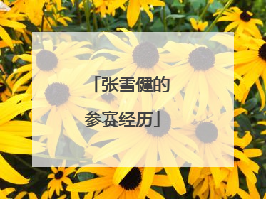 张雪健的参赛经历