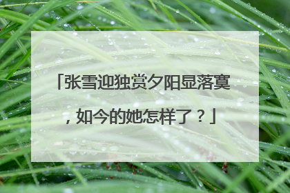 张雪迎独赏夕阳显落寞，如今的她怎样了？