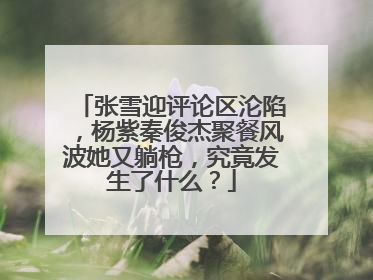 张雪迎评论区沦陷，杨紫秦俊杰聚餐风波她又躺枪，究竟发生了什么？