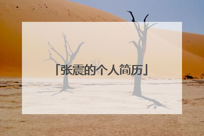 张震的个人简历