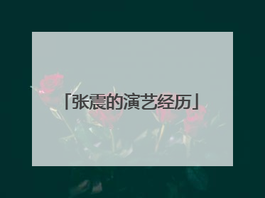 张震的演艺经历