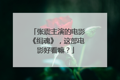张震主演的电影《缉魂》，这部电影好看嘛？