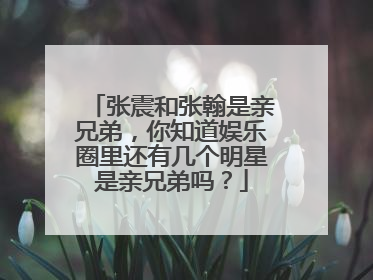 张震和张翰是亲兄弟，你知道娱乐圈里还有几个明星是亲兄弟吗？