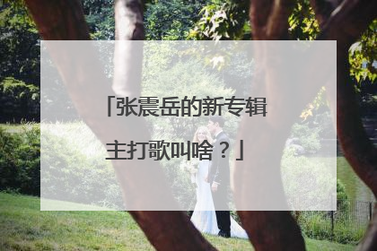张震岳的新专辑主打歌叫啥?