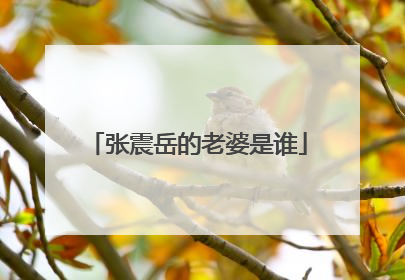 张震岳的老婆是谁