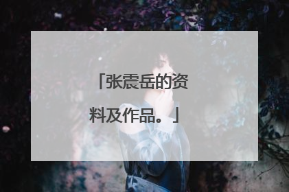 张震岳的资料及作品。