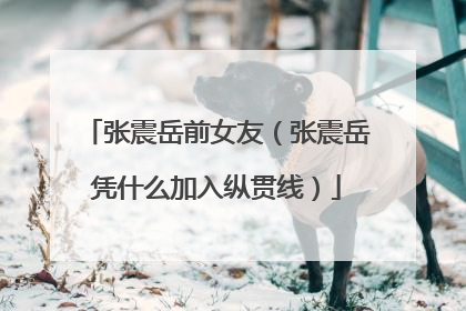 张震岳前女友（张震岳凭什么加入纵贯线）