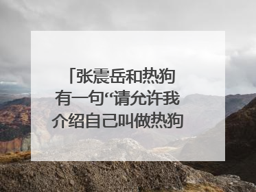 张震岳和热狗 有一句“请允许我介绍自己叫做热狗”，是rap的