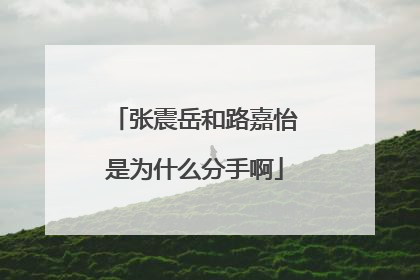 张震岳和路嘉怡是为什么分手啊