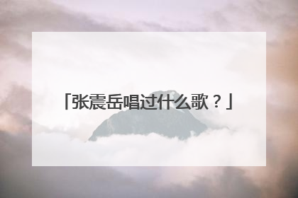 张震岳唱过什么歌？