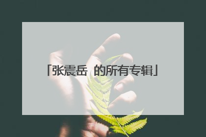 张震岳 的所有专辑