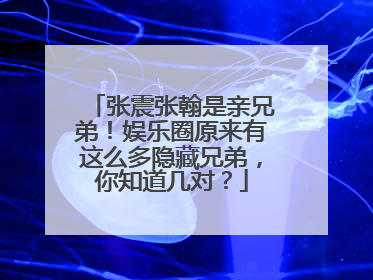 张震张翰是亲兄弟！娱乐圈原来有这么多隐藏兄弟，你知道几对？