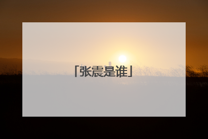 张震是谁