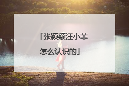 张颖颖汪小菲怎么认识的