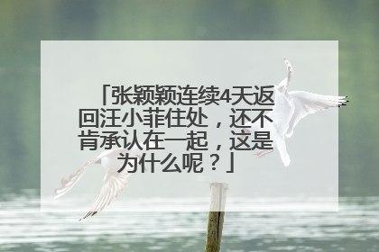 张颖颖连续4天返回汪小菲住处,还不肯承认在一起,这是为什么呢?