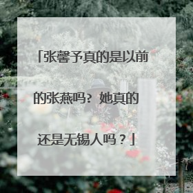 张馨予真的是以前的张燕吗? 她真的还是无锡人吗?