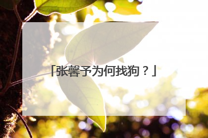 张馨予为何找狗？
