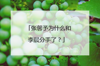 张馨予为什么和李晨分手了?