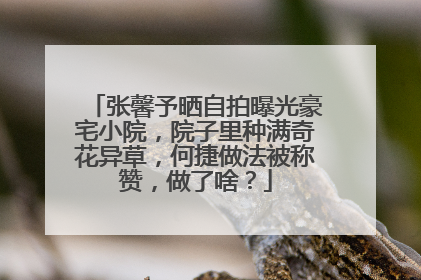 张馨予晒自拍曝光豪宅小院,院子里种满奇花异草,何捷做法被称赞,做了啥?