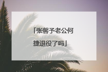 张馨予老公何捷退役了吗