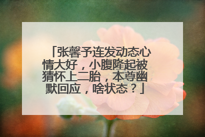 张馨予连发动态心情大好，小腹隆起被猜怀上二胎，本尊幽默回应，啥状态？