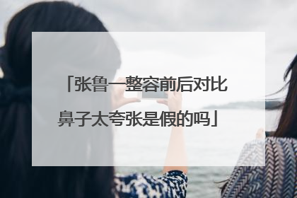 张鲁一整容前后对比鼻子太夸张是假的吗