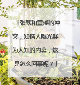 张默和童瑶的冲突,知情人曝光鲜为人知的内幕,这是怎么回事呢?
