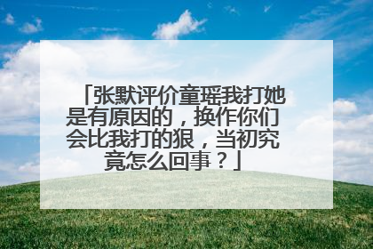 张默评价童瑶我打她是有原因的,换作你们会比我打的狠,当初究竟怎么回事?