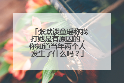 张默谈童瑶称我打她是有原因的，你知道当年两个人发生了什么吗？