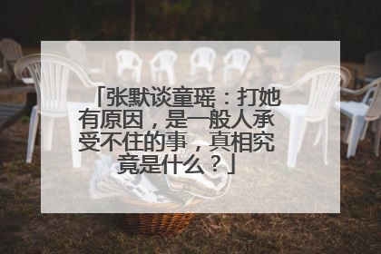 张默谈童瑶:打她有原因,是一般人承受不住的事,真相究竟是什么?