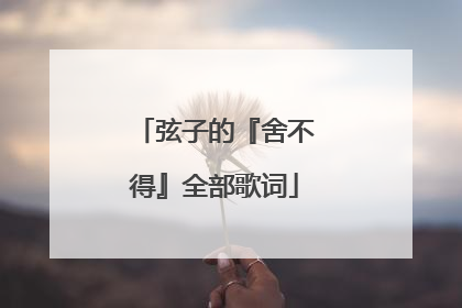 弦子的『舍不得』全部歌词