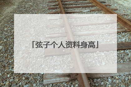 弦子个人资料身高