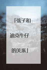 弦子和迪克牛仔的关系