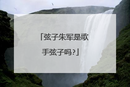 弦子朱军是歌手弦子吗?