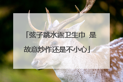 弦子跳水露卫生巾 是故意炒作还是不小心