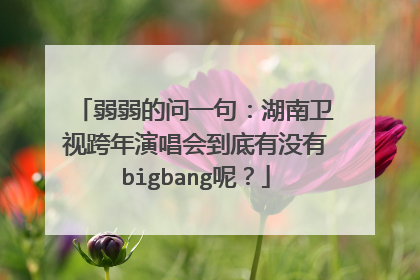 弱弱的问一句：湖南卫视跨年演唱会到底有没有bigbang呢？